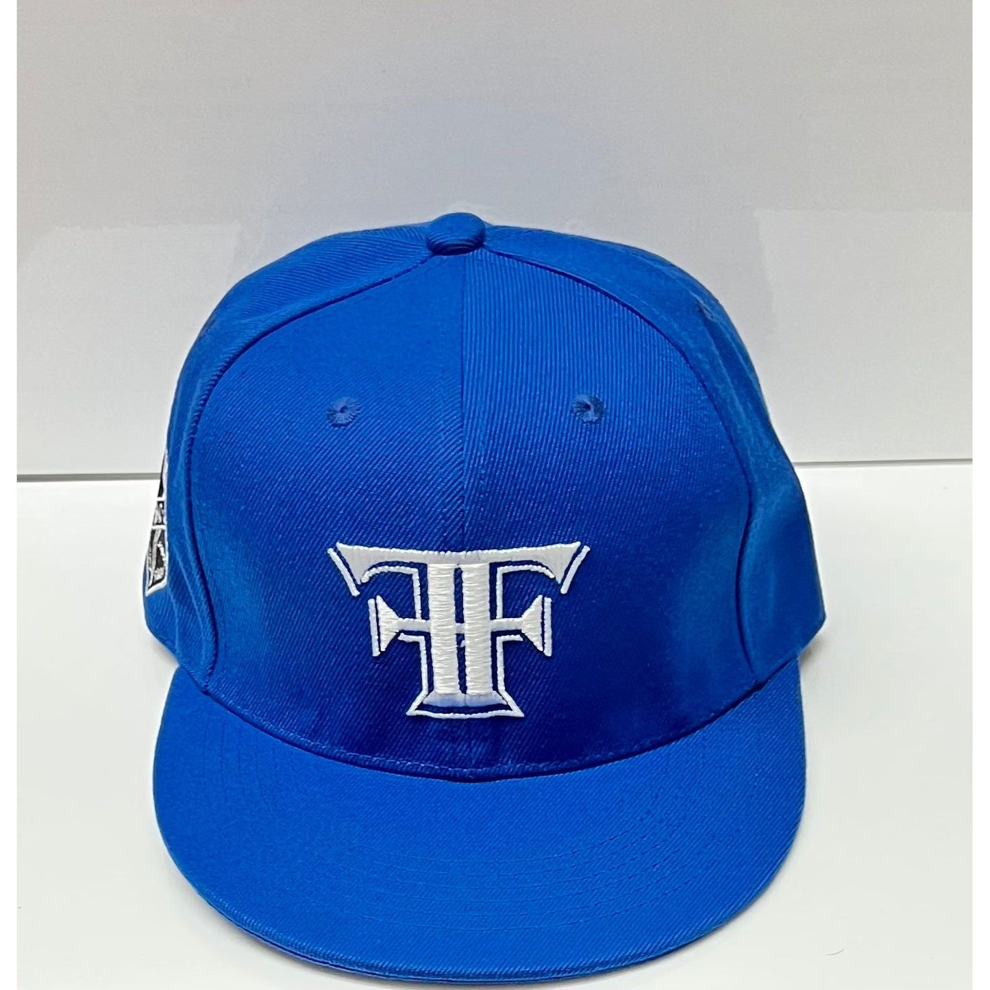 The Family SnapBack hat