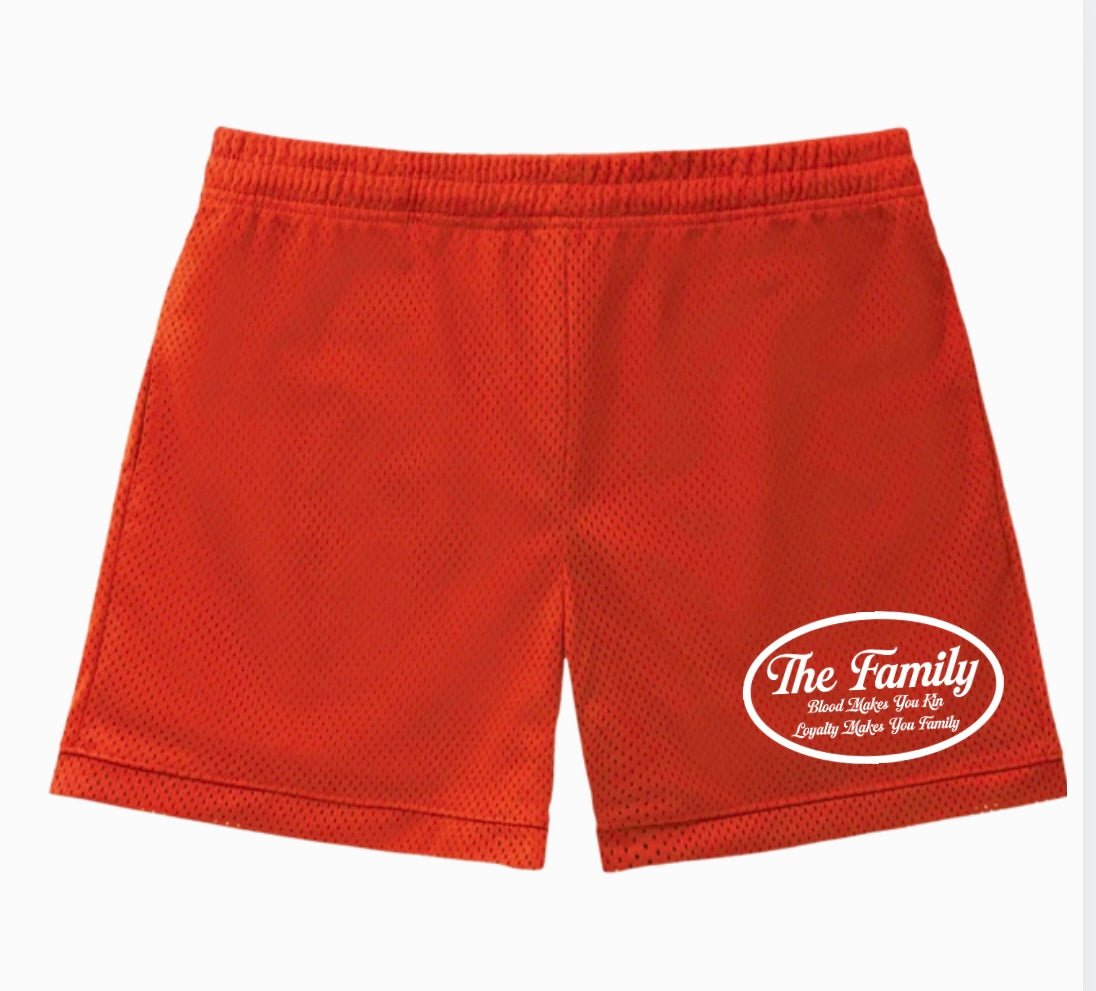 The Family heavyweight mesh shorts - Multiple Colors
