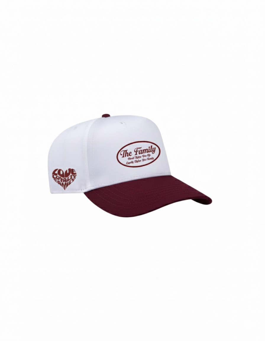 The Family embroidered baseball hat (Two-Tone) - Click for more color options