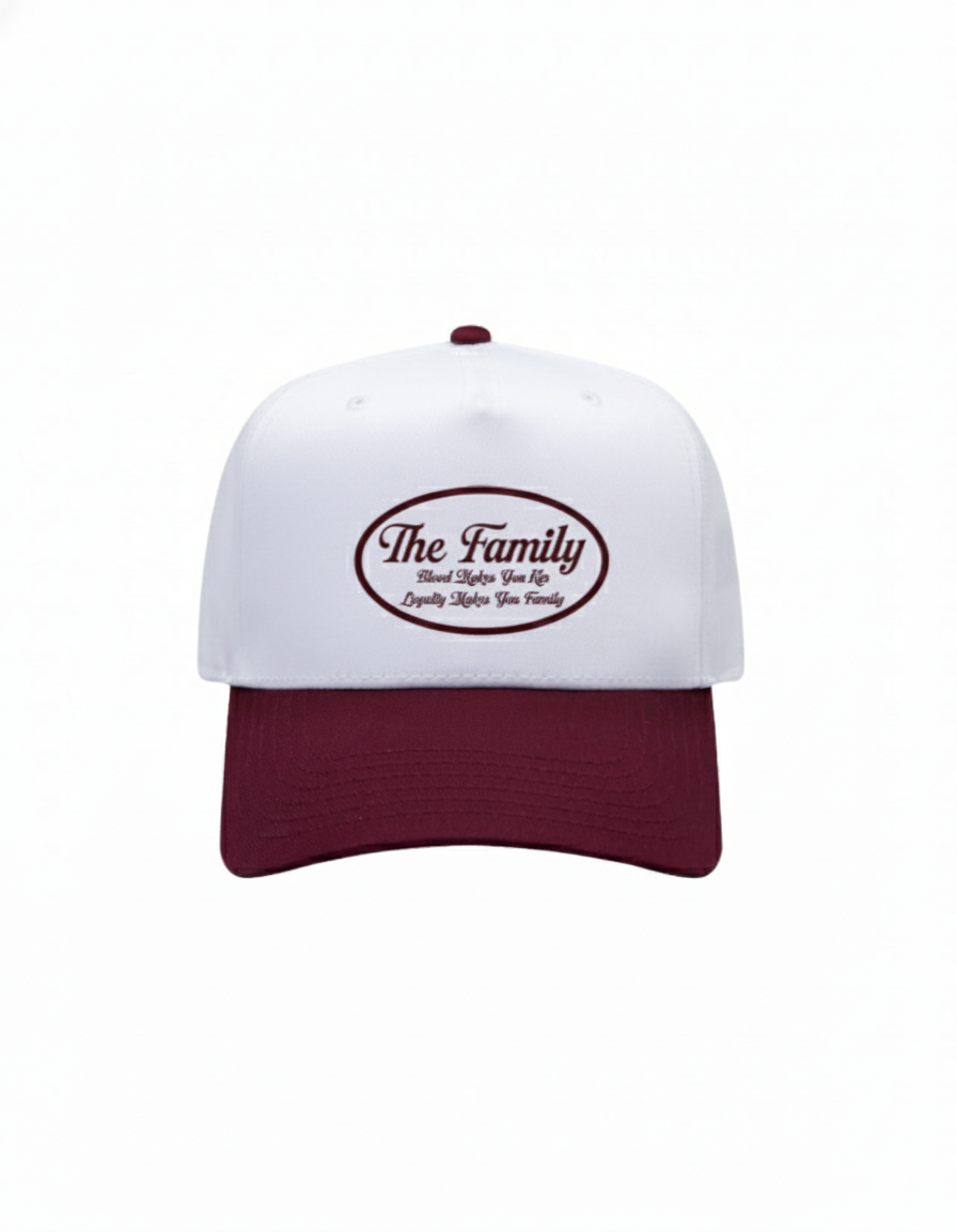 The Family embroidered baseball hat (Two-Tone) - Click for more color options