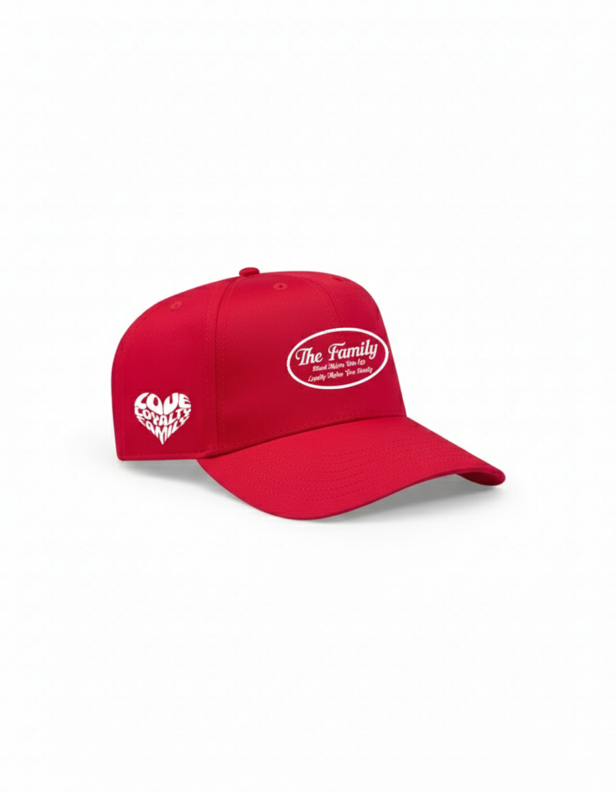 The Family Embroidered Baseball Hat - Classic - Multiple Colors