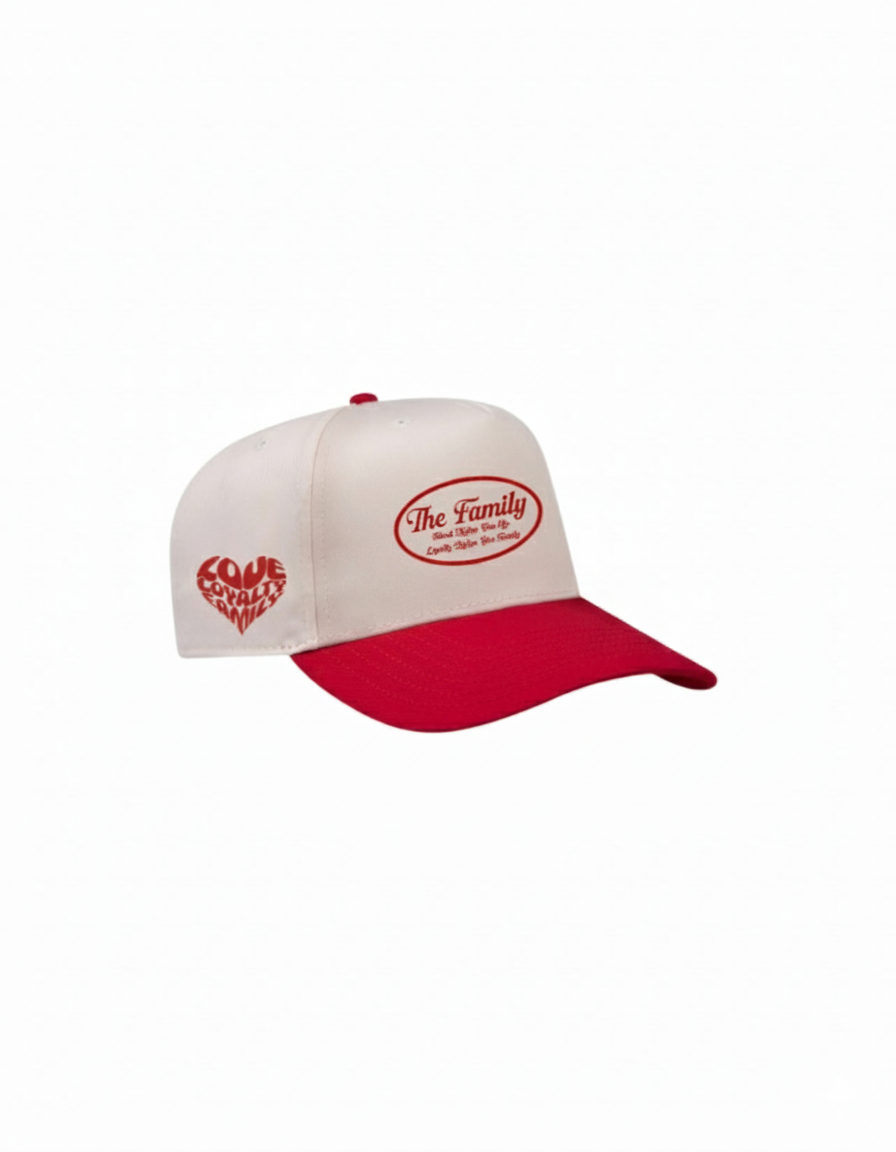 The Family embroidered baseball hat (Two-Tone) - Click for more color options