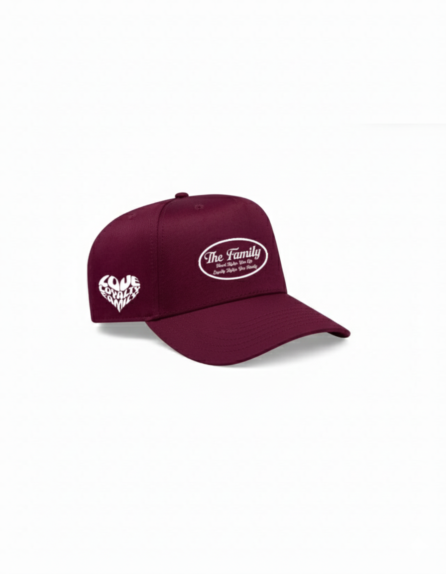 The Family embroidered baseball hat - Click for more Color Options
